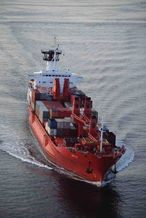 霍爾果斯至布蘭太爾與利卡西的汽運貨運代理服務全解析