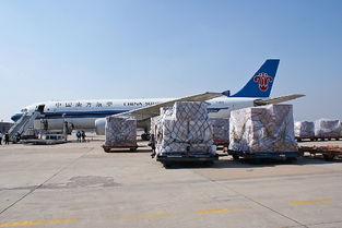 南航北方貨運部旺季銷售旺，節(jié)前安全保障與貨運代理服務并重