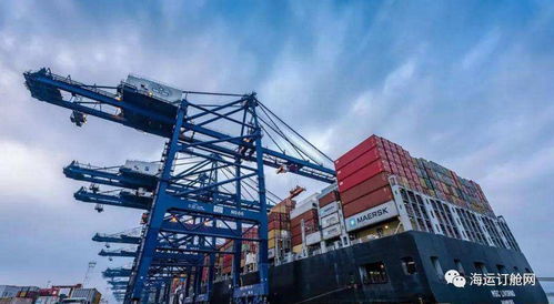 外貿貨代企業，是時候和伊朗業務說再見了